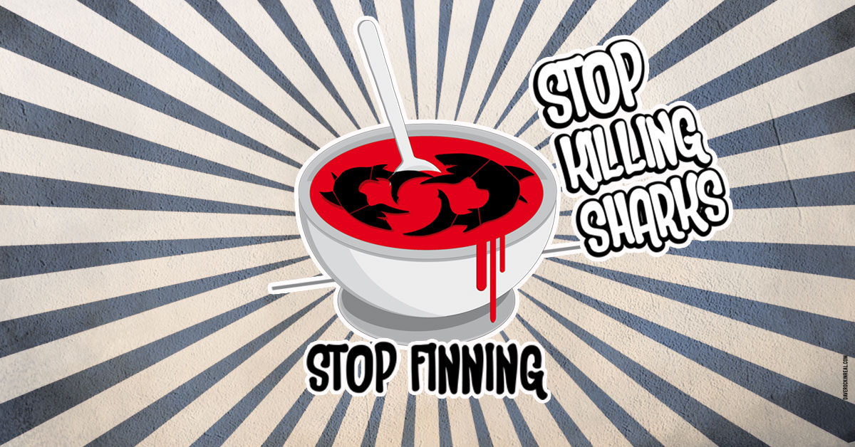 Stop finning - illustrazione di Davide Ursini aka Dave
