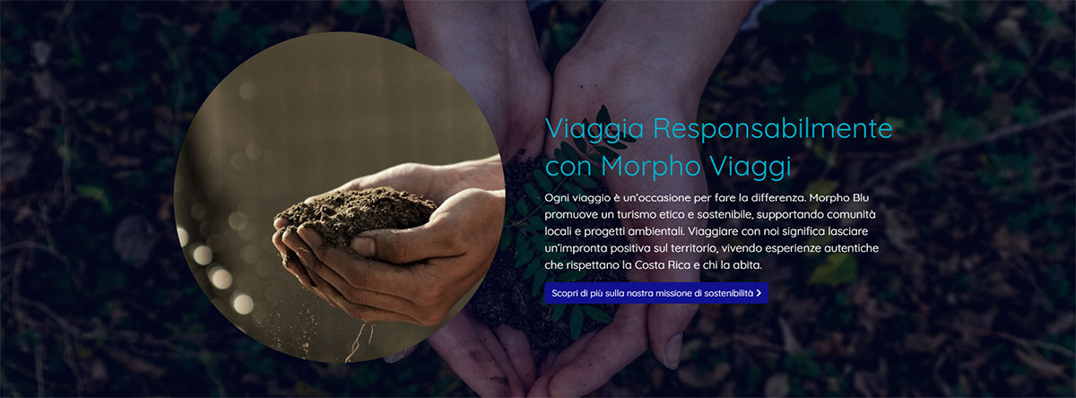 join-morpho-view-akadave