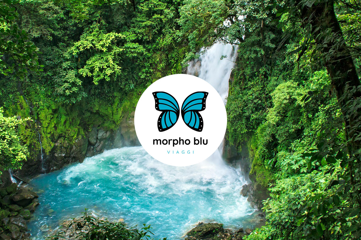 Morpho Blu Viaggi: brand identity, digital experience and sustainable travel